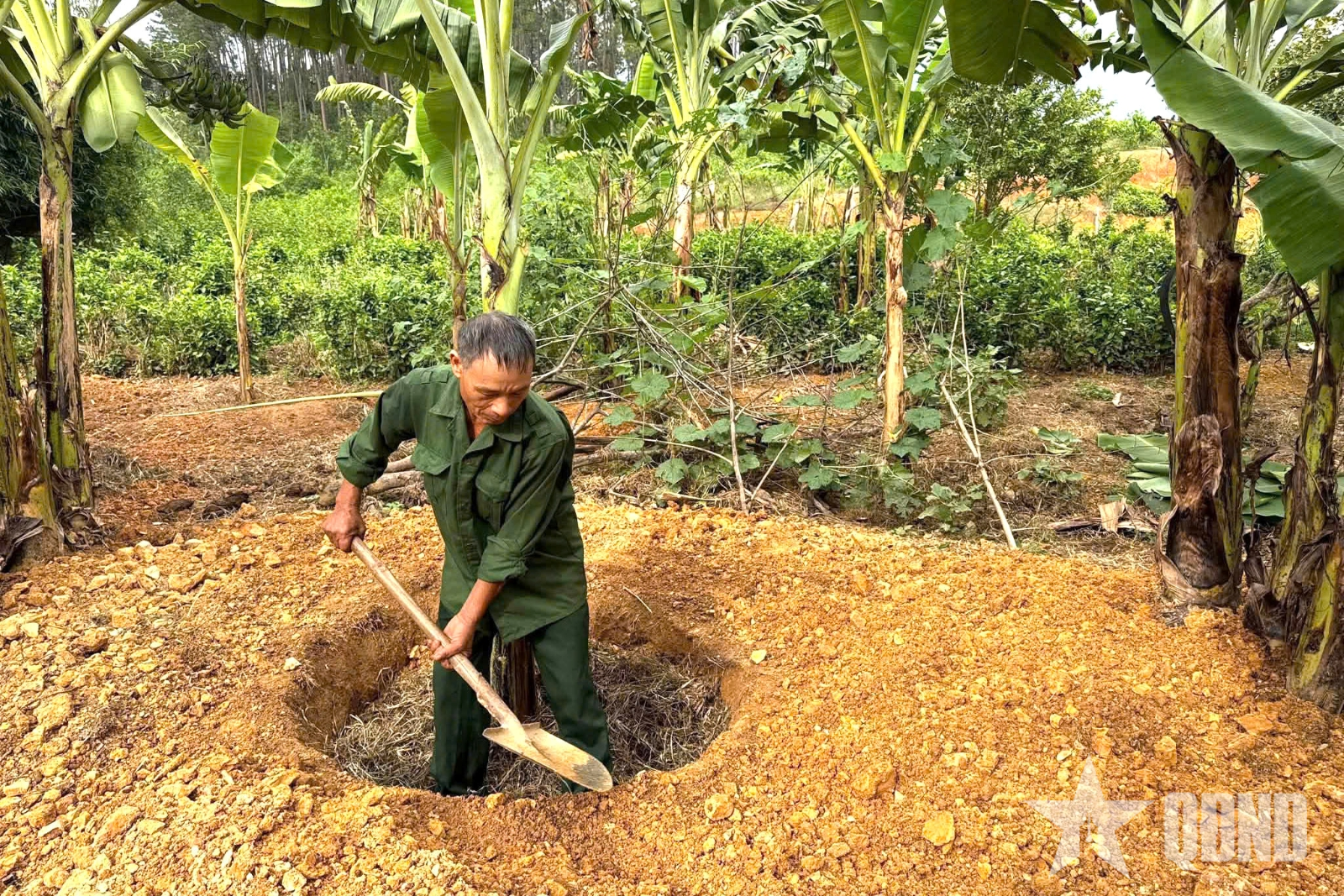Nhường đồi tràm cho bộ đội diễn tập